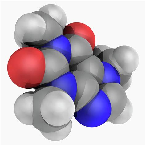 Caffeine Drug Molecule 2 By Laguna Design Science Photo Library