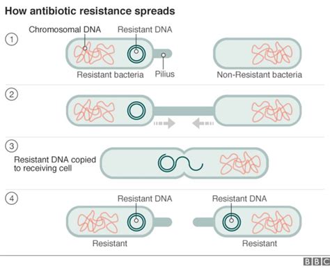 Antibiotic Resistance World On Cusp Of Post Antibiotic Era Bbc News