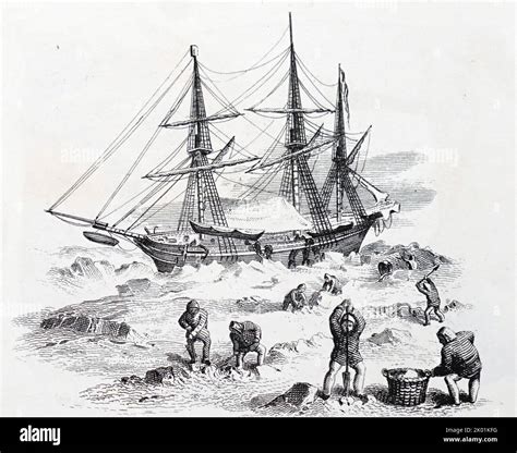 Hms Terror Locked In The Ice In Prosen Strait London 1881 Stock Photo