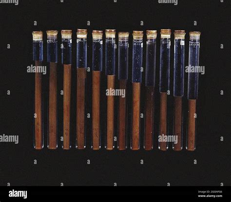 Chinese twelve-tone pitch pipes (from the tomb of Xin Zhui in Mawangdui ...