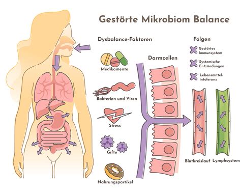 Mikroveda Balance Aufbau Kuren