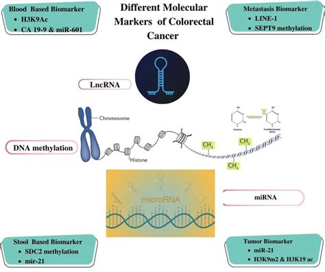 Illustration of Different Molecular Biomarker-based Detection for ...