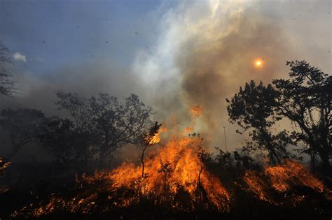 Murieron Dos Brigadistas En Edomex Durante El Combate A Un Incendio