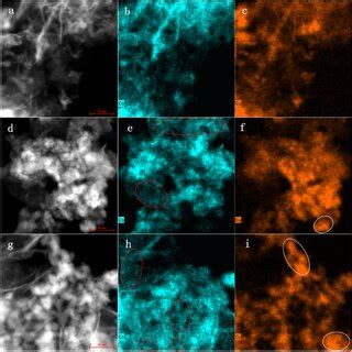 Haadf Stem Image And The Corresponding Co And Cu Elemental Mapping