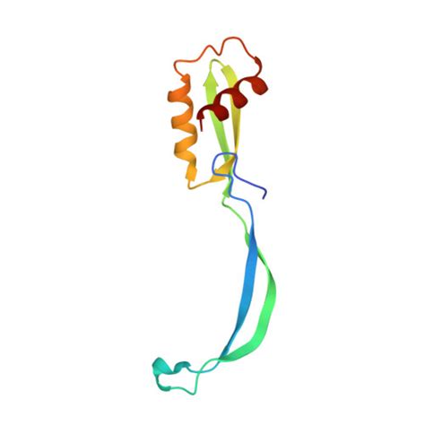 Rcsb Pdb 5hau Crystal Structure Of Antimicrobial Peptide Bac7 1 19 Bound To The Thermus