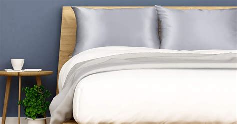 8 Best Silk Pillowcases 2020 | The Strategist | New York Magazine