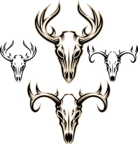 Top 60 Deer Skull Clip Art Vector Graphics And Illustrations Istock