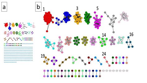 A Sequence Similarity Network Of Uncharacterized Sorghum And Similar