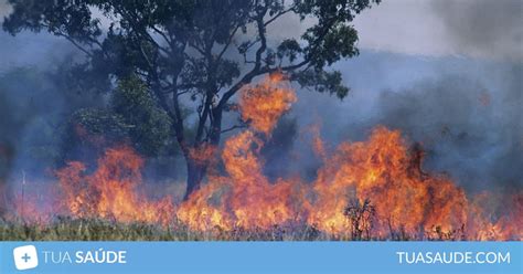 5 Principais Riscos De Inalar Fumaça De Incêndio Tua Saúde