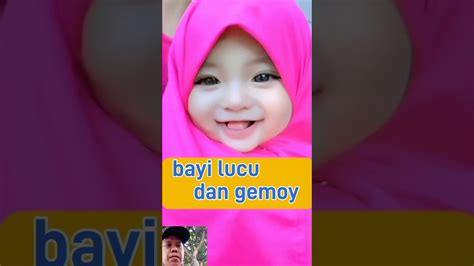 Bayi Lucu Youtube