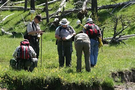 Surveying Forest Stock Photos Pictures And Royalty Free Images Istock