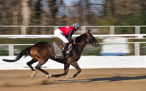 【競馬】現役で活躍している逃げ馬は？ジャンル別に紹介 脚質大辞典