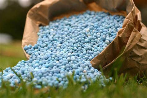 Fertilizantes Inorgánicos o Quimicos lo que aún Desconoce