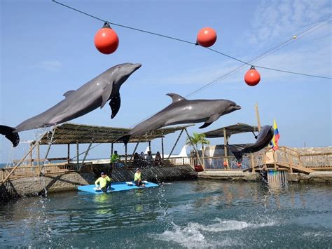 Tour Acuario Rodadero Santa Marta