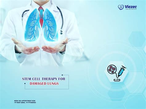 Stem Cell Therapy For Damaged Lungs Viezec Institute India