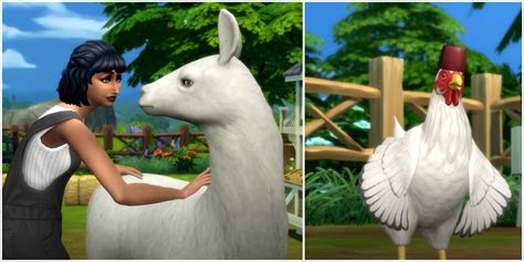 The Sims 4 Cottage Living: Guide To Keeping Animals