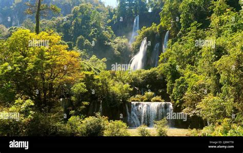 Beautiful waterfall in green tropical forest. Mountain jungle with ...