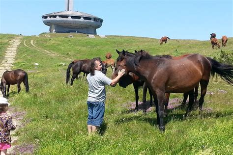 Horse Riding Tours | Private Tours