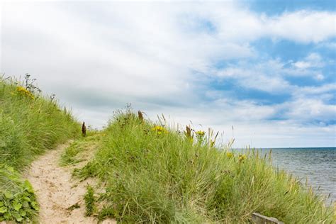 Free Images Beach Landscape Sea Coast Tree Water Nature Sand