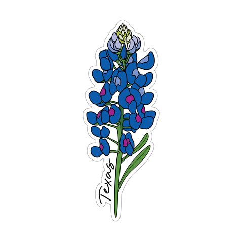 Bluebonnets Aquarell Clipart Texas State Flower Wildblumen Clip