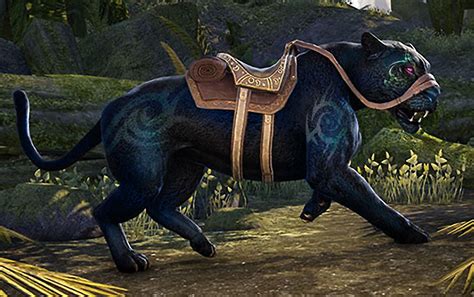 Mount Animal Companion Panther RPG Pet | Mystical animals, Animal ...