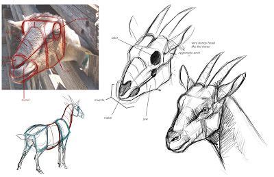 Jon Kuo Art Animal Sketches, Animal Drawings, Art Drawings, Anatomy ...