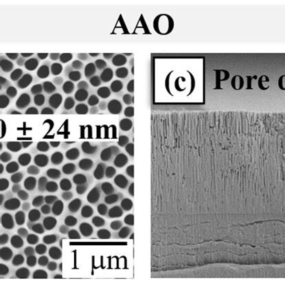 Surface Micrographs Of A Bare B Unmodified AAO And D Modified