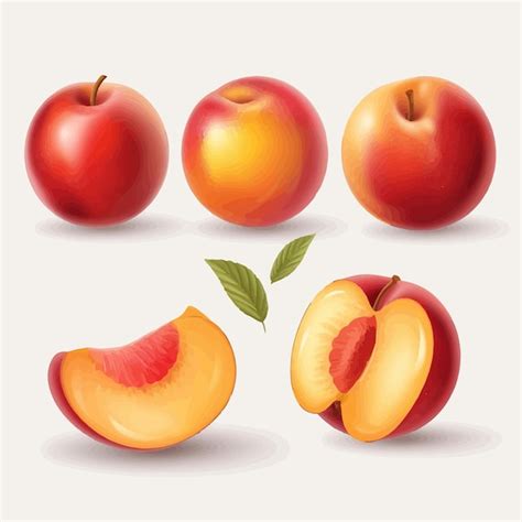 Premium Vector Set Of Nectarine Fruit Illustrations With A Flat