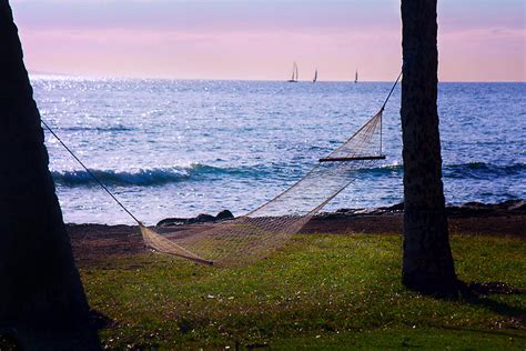 Hammock In Paradise Photograph By Camille Lopez Fine Art America