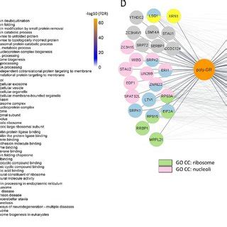 Bioid Of Poly Ga Gr And Pr Shows Specific Proximity Labeling Of Dpr