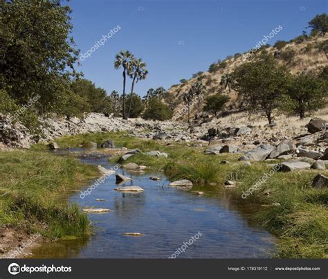 Oasis in the Namib Desert - Namibia — Stock Photo © Steve_Allen #178319112