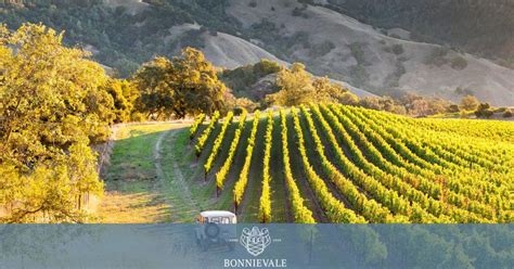 Wine Tour Ideas For 2023 Bonnievale Wines