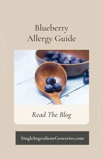 What You Need to Know About Blueberry Allergy - Single Ingredient Groceries