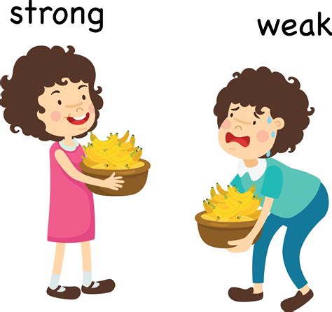 Opposite Strong And Weak And Clever Vector Illustration 3240336 Vector