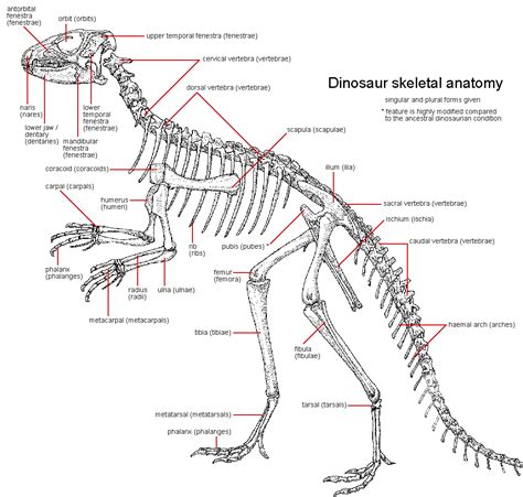 Dinosaur Puzzle Step By Step