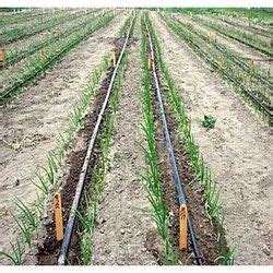 Finolex Plasson Drip Irrigation