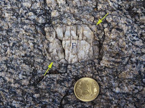 Granitoid Rock Showing Crude Foliation Defined By Preferential