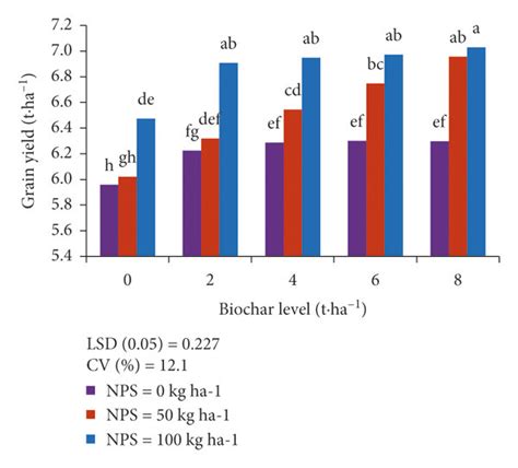 Effect Of Levels Of Biochar And Nps Fertilizer Rates On Maize Grain