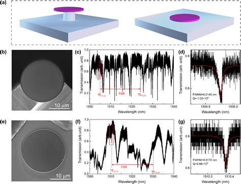 Enhancing Thermal Stability Of Nd Ggg Wgm Microdisk Lasers Via Silica