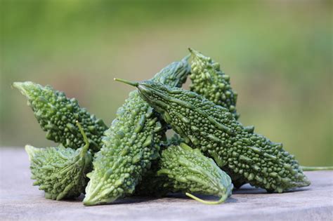 Bitter Gourd Vegetable Harvest Free Photo On Pixabay