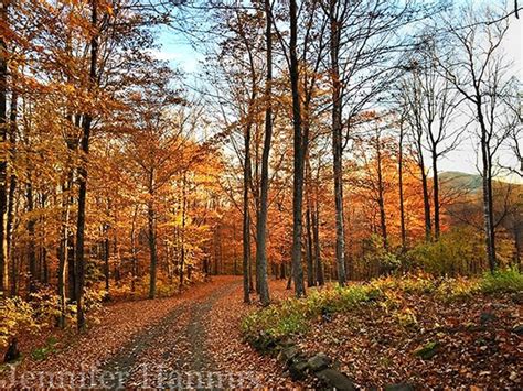 New England Fall Foliage Largely Past Peak New England