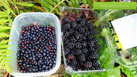 Wild Berries! – Best Beauty Foods