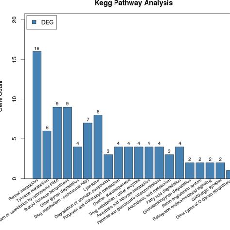 The Significantly Enriched Kegg Pathway Of Degs In Sweet Potato