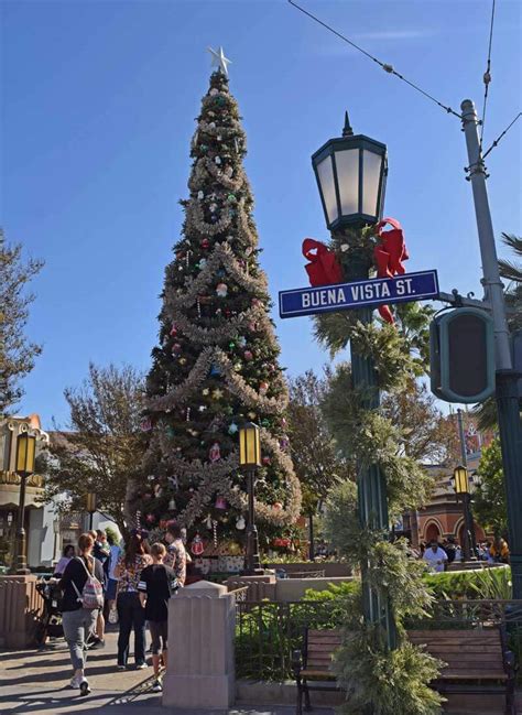 When Do Christmas Decorations Go Up In Disneyland Shelly Lighting