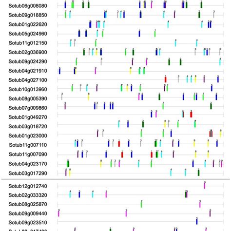 Motif Locations In The Upstream Flanking Region Of N Responsive