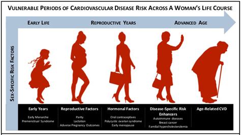 The Role Of Sex Specific Risk Factors In The Risk Assessment Of Atherosclerotic Cardiovascular