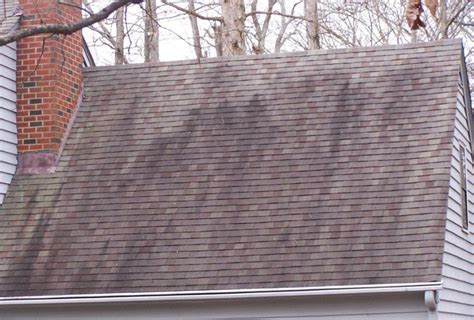 6 Common Problems With An Asphalt Shingle Roof