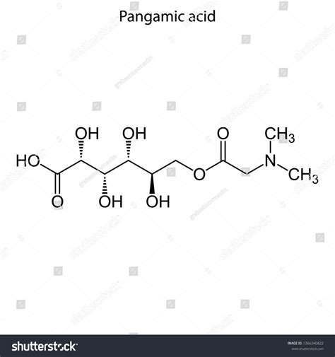 Skeletal Formula Pangamic Acid Vitamin B15 Vector De Stock Libre De