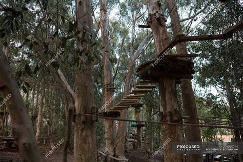 Wooden obstacles of ropes course in forest — sport, park - Stock Photo ...