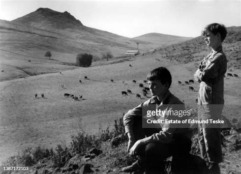 Jody Mccrea Photos And Premium High Res Pictures Getty Images